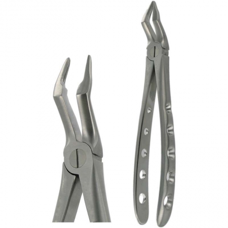 American Pattern Forceps