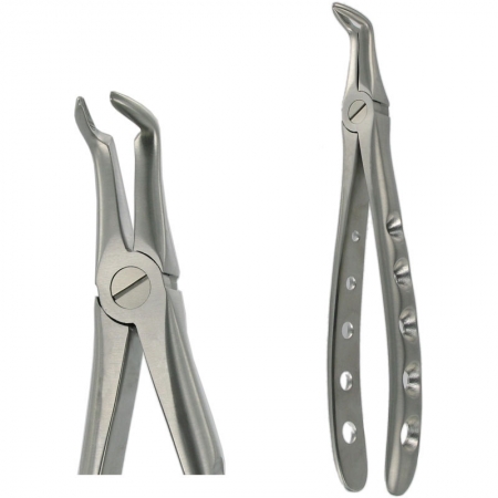 American Pattern Forceps