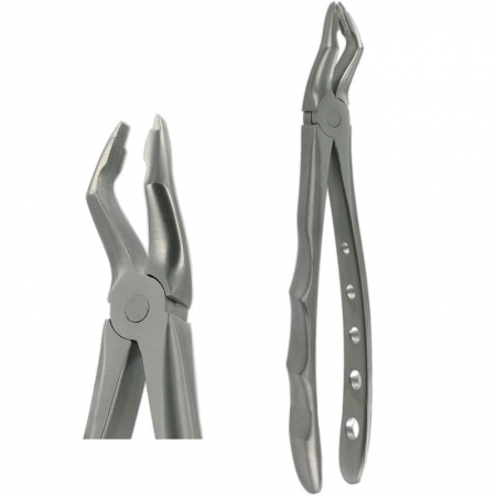 American Pattern Forceps