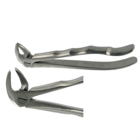 ENGLISH FORCEPS 33 LOWER ROOT