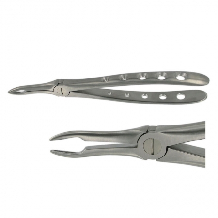 ENGLISH FORCEPS 44 UPPER ROOT