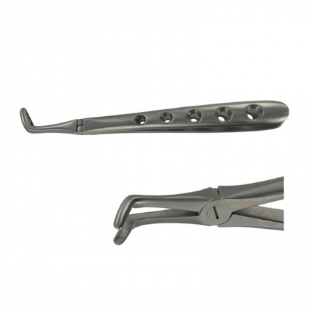 ENGLISH FORCEPS 45 LOWER ROOT