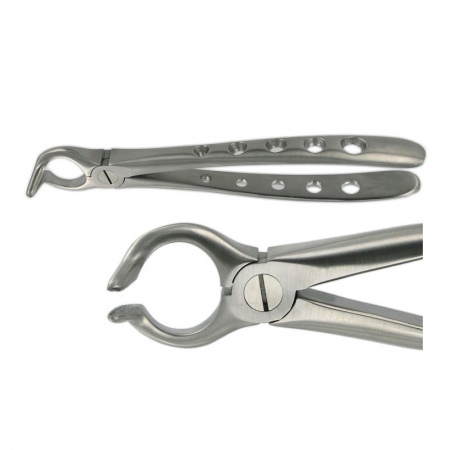 ENGLISH FORCEPS 68 LOWER ROOT