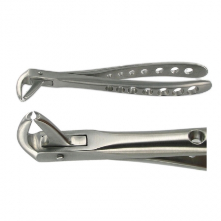 ENGLISH FORCEPS 169 LOWER CANINE