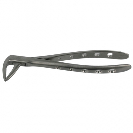 ENGLISH FORCEPS 233 LOWER ROOT