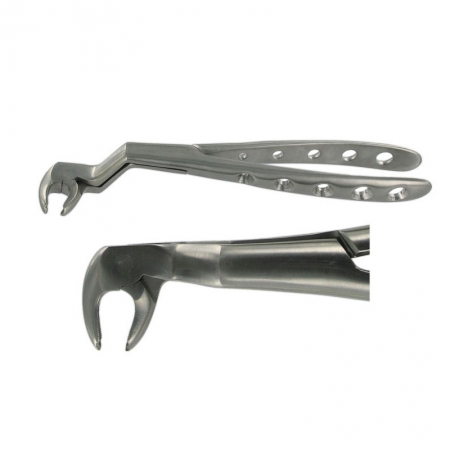 ENGLISH FORCEPS 22 1/2R LOWER WISDOM 