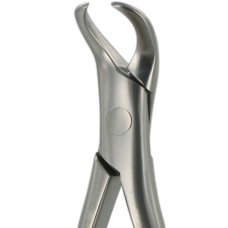 American Pattern Forceps