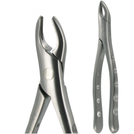 American Pattern Forceps