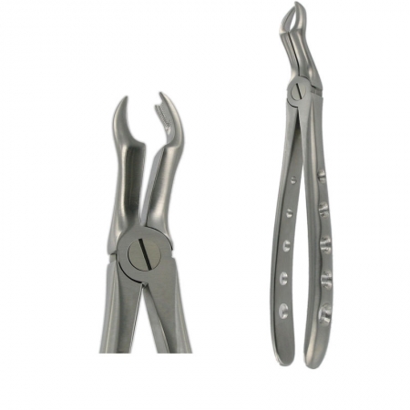 American Pattern Forceps