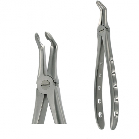 American Pattern Forceps